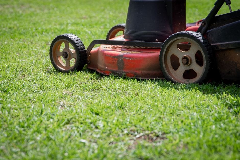 Freshly mowed green lawn